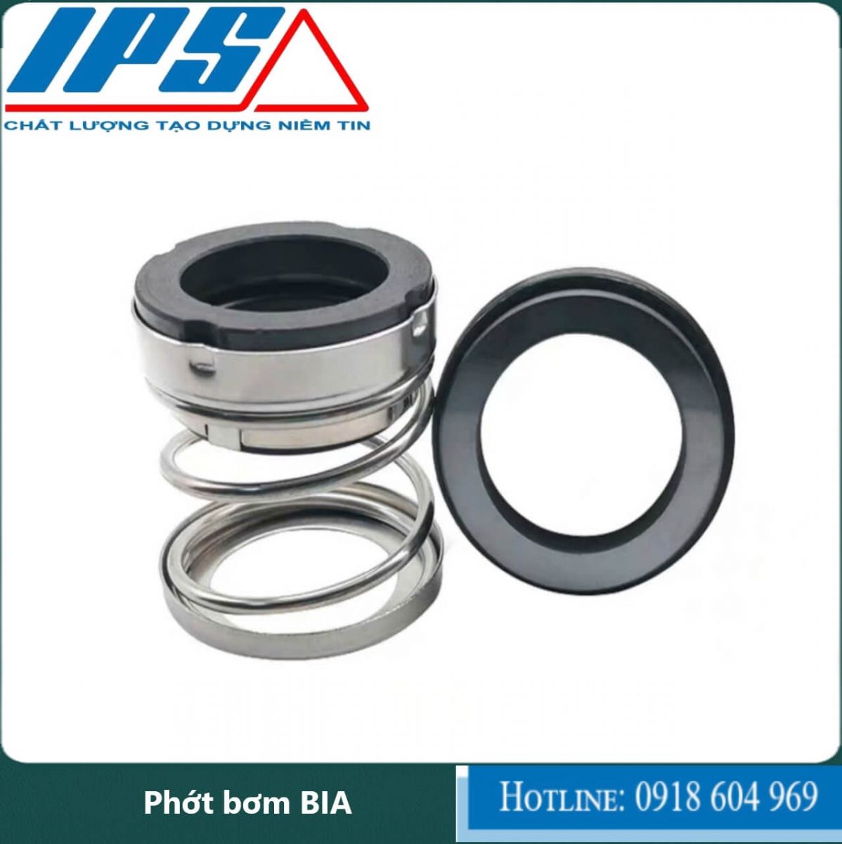 /Phớt bơm BIA-11(1).